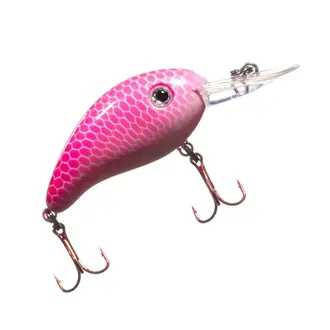 Arkie 350 Series Crankbait...