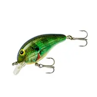 Bandit 100 - Bluegill