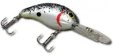 Bandit 200 - Pearl Splatter Back