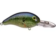 Bandit 200 - Bluegill