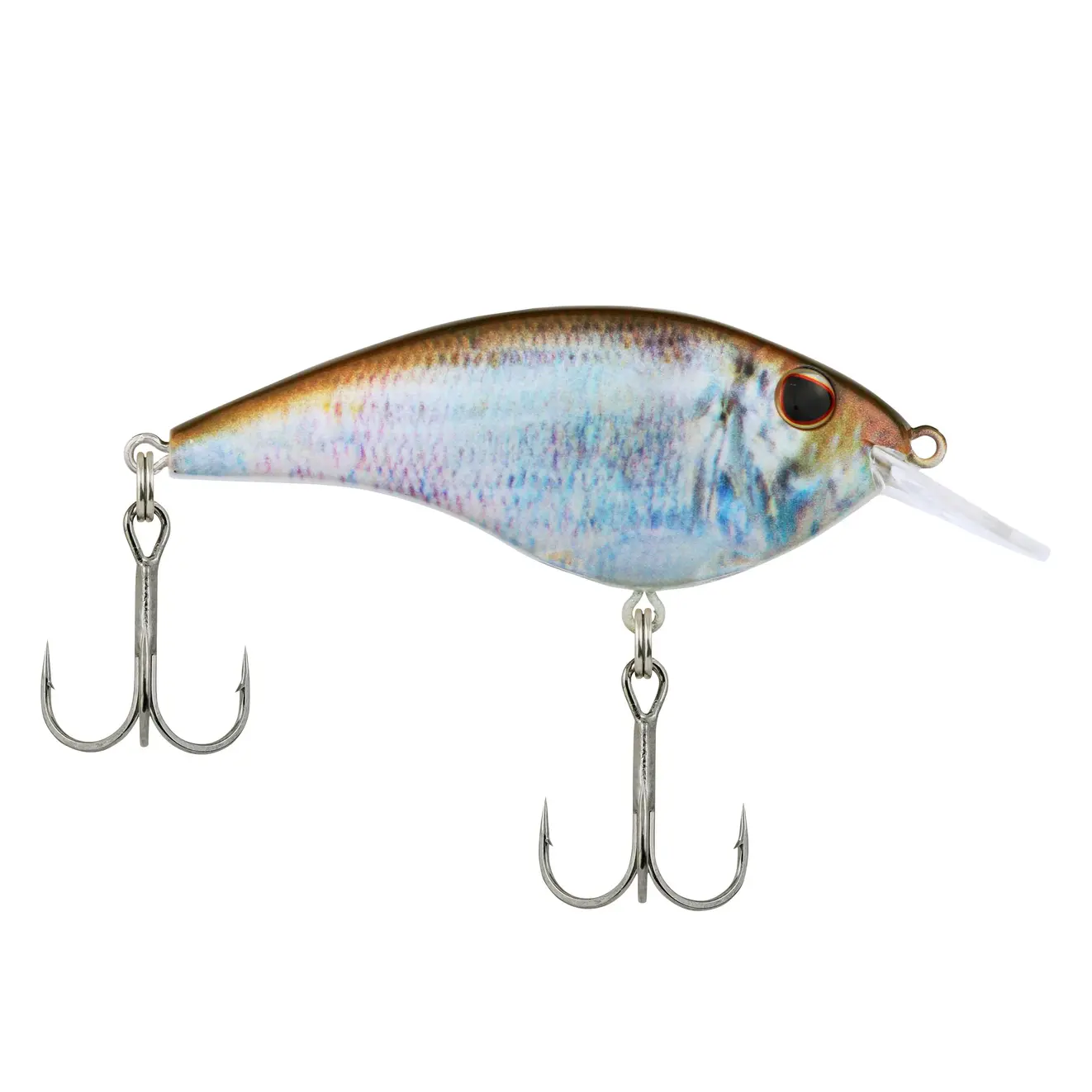 Berkley Frittside sz5 Biggun' - HD Blueback...