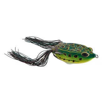 Berkley Swamp Lord Frog - Spring Frog