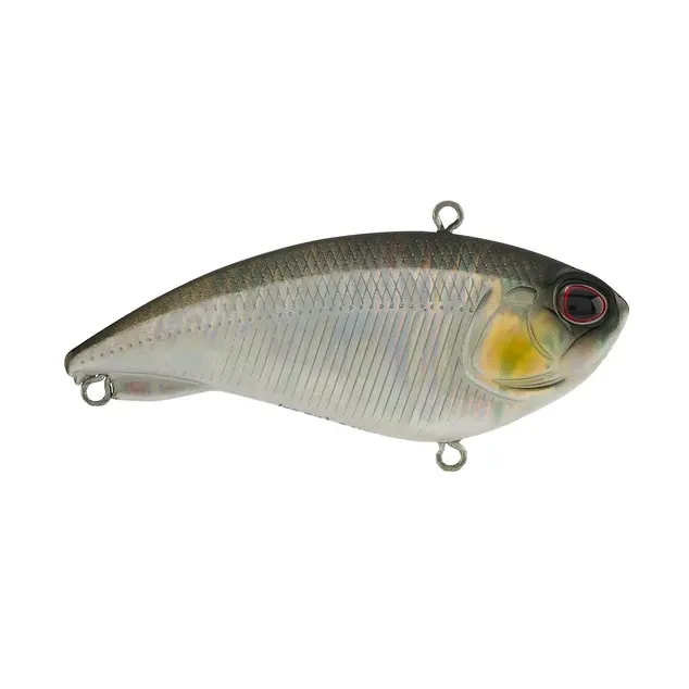 Berkley 2.5" Jack - Black Silver