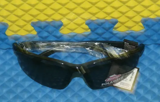 BSLANIMGBS-H Berkley Sunglasses