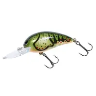 Bomber Model A - Rock Craw...