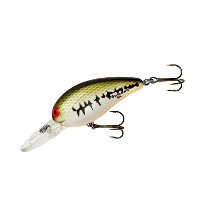 Bomber Model A - Baby Bass Orange Belly 6-8'