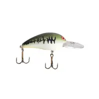 Bomber Model A - Baby Bass Orange Belly 8-10'