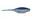 Panfish Assassin Shad Assassin - Blue Shad