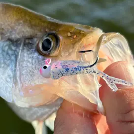Crappie Slammers 15ct Mini Split Shad -...