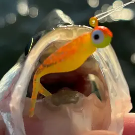 Crappie Slammers 15ct Mini Split Shad - Orange...