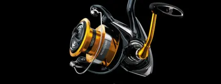 Daiwa Revros LT2000 Spinning 4BB 1, 5.2:2