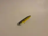 Demon Dragons Muddy River Catfishing