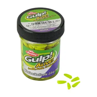 Gulp Alive Waxies 2oz Jar - Chartreuse