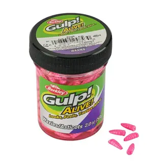 Gulp Alive Waxies 2oz Jar - Pink