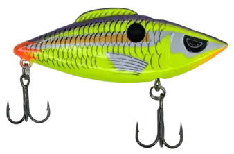 Head Hunter Firetail Rattler 3/8 oz Parakeet
