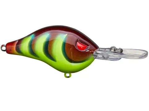 Head Hunter Shad Dad 6-8' - Lime Daddy