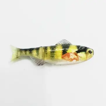 Head Hunter 1/8 Keystone Minnow 6pc - Natural...