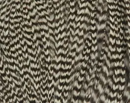 Hareline Dry Neck Chunks #176 Grizzly