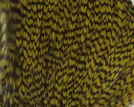 Hareline Dry Neck Chunks #179 Grizzly Olive