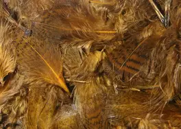 Hareline Premium Hungarian Partridge Feathers...