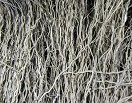Hareline Ripple Ice Fiber #167 Gray Minnow