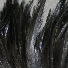 Hareline Woolly Bugger Saddle Hackle 6-7 inch...