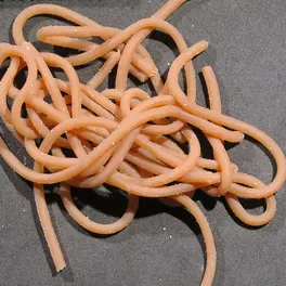 Hareline Squirmmy Wormies Earthworm Tan #198