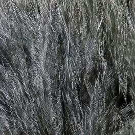 Hareline X-Select Marabou #11 Black