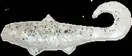 Luck "E" Strike 2" Swim N Minnow Southern...