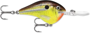 Rapala Dives-To 10 - Hot Mustard