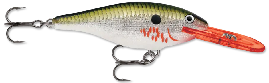 Rapala Shad Rap Sz7 - Bleeding Olive Flash