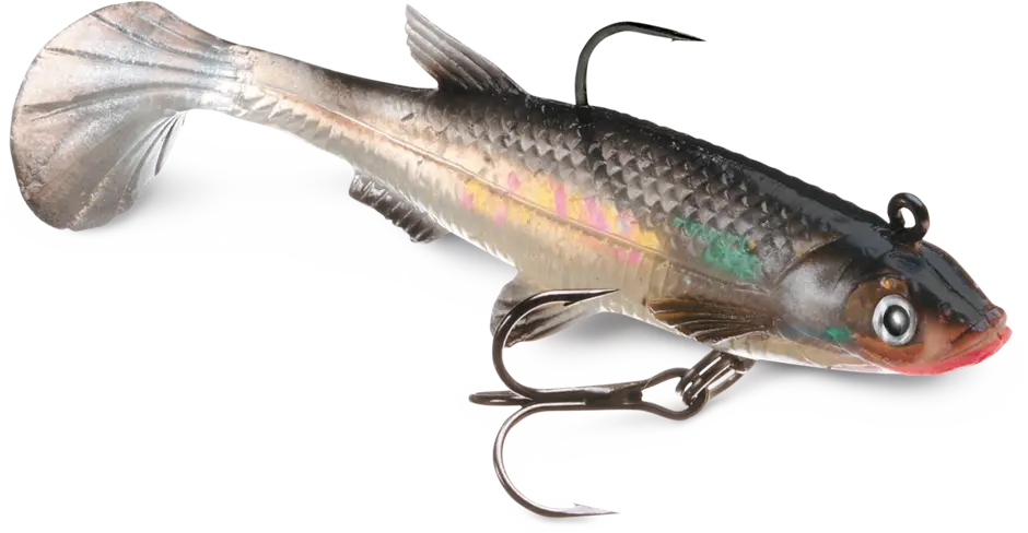 Storm Wildeye Live 3" Minnow 3pk