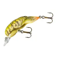 Rebel Middle Wee Craw - Gully Craw