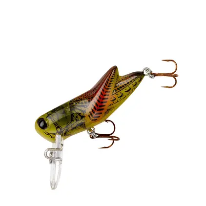 Rebel Crickhopper - Summer Hopper