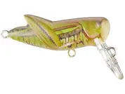 Rebel Crickhopper - Army Cricket