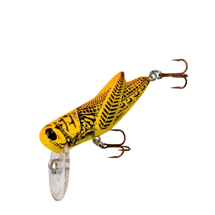 Rebel Crickhopper - Yellow Grasshopper