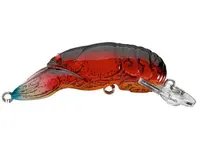 Rebel Wee Craw - Nest Robber