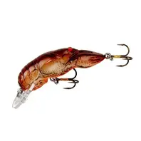 Rebel Wee Craw - Ditch Brown