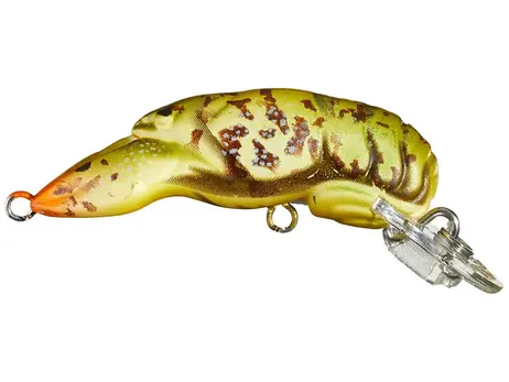 Rebel Wee Craw - Gully Craw