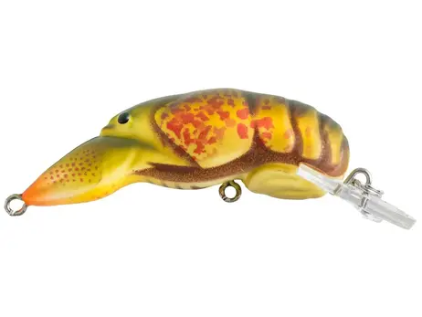 Rebel Wee Craw - Winter Craw