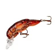 Rebel Teeny Wee Craw -...