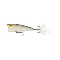 Rebel Mag Pop R-Foxy Shad