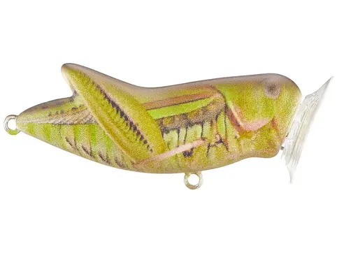Rebel Crickhopper Popper - Army Cricket