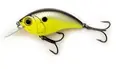 Bill Lewis SB-57 Mark Daniels Jr. Signature...