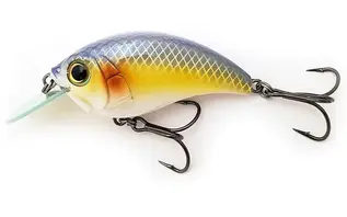Bill Lewis SB-57 Mark Daniels Jr. Signature...