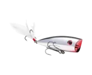 Strike King KVD Splash - Carolina Chrome