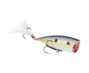 Strike King KVD Splash - Sexy Shad
