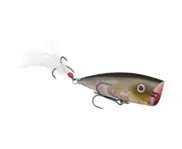 Strike King KVD Splash - Clearwater Minnow