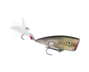 Strike King KVD Splash Jr - Clearwater Minnow