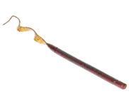 Strike King Zeus Worm 9.5" Plum Crazy Craw